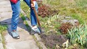 Endlich lässt es das Wetter wieder zu, mehr Zeit im Garten zu verbringen