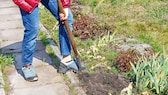 Endlich lässt es das Wetter wieder zu, mehr Zeit im Garten zu verbringen