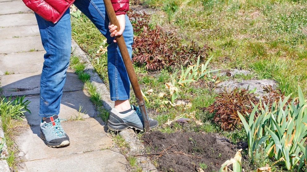 Endlich lässt es das Wetter wieder zu, mehr Zeit im Garten zu verbringen