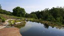 Naturpool Schwimmteich Unterschiede