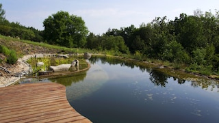 Naturpool Schwimmteich Unterschiede