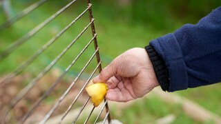 Grill mit Zitrone reinigen