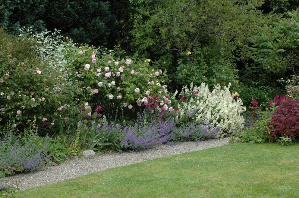 Garten mit Kiesfläche