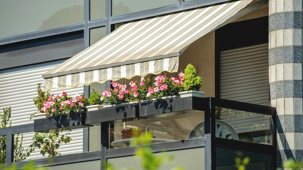 Markise als Sichtschutz auf dem Balkon