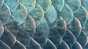 Schimmernder Fliesenspiegel in Fischschuppen-Optik