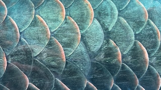 Schimmernder Fliesenspiegel in Fischschuppen-Optik