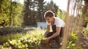 Nutzgarten anlegen in 4 Schritten