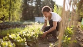 Nutzgarten anlegen in 4 Schritten