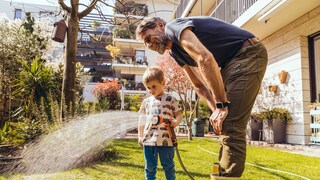 Im Juni sollte man bei der Bewässerung des Rasens einiges beachten