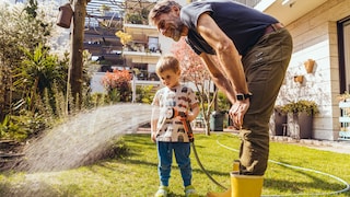 Im Juni sollte man bei der Bewässerung des Rasens einiges beachten