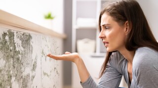 Schimmel an der Wand