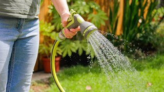 Mann bewässert mit einem Gartenschlauch die Pflanzen
