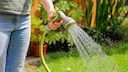 Mann bewässert mit einem Gartenschlauch die Pflanzen
