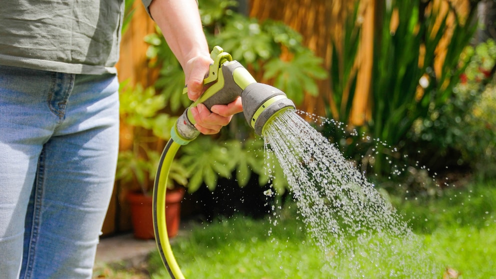 Mann bewässert mit einem Gartenschlauch die Pflanzen