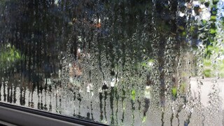 Auch im Sommer kann eine zu hohe Luftfeuchtigkeit in der Wohnung zum Problem werden