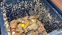 Maden in der Biotonne können im Sommer zum echten Problem werden
