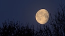 Jeder Vollmond hat einen anderen Namen. So heißt der Mond im Juli Heu- oder Donnermond und jener im August Getreidemond