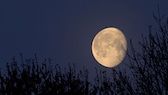 Jeder Vollmond hat einen anderen Namen. So heißt der Mond im Juli Heu- oder Donnermond und jener im August Getreidemond