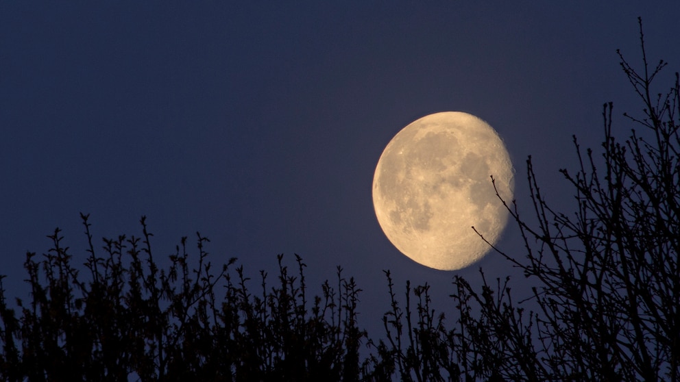 Jeder Vollmond hat einen anderen Namen. So heißt der Mond im Juli Heu- oder Donnermond und jener im August Getreidemond