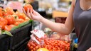 In Gartencentern und Supermärkten gibt es ein Überangebot an Tomaten. Was sind eigentlich die Unterschiede?