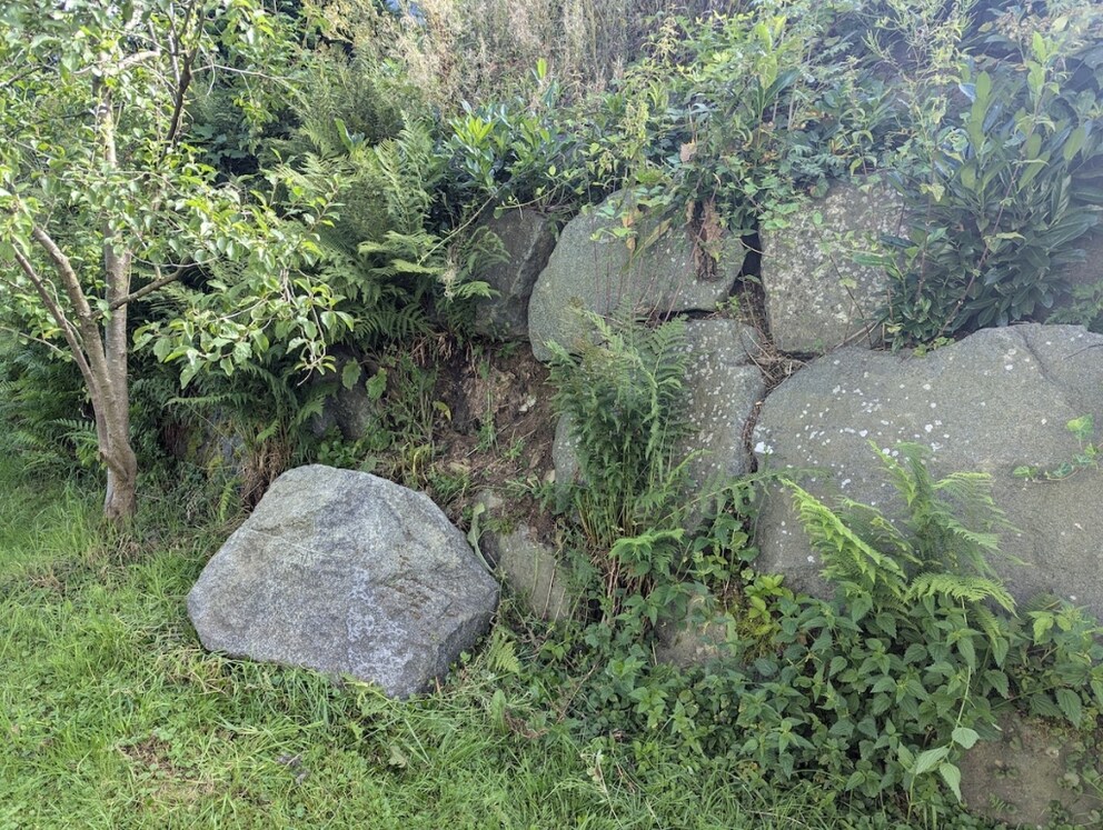 Stein vom Nachbarn im Garten