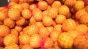 Orangen Netz