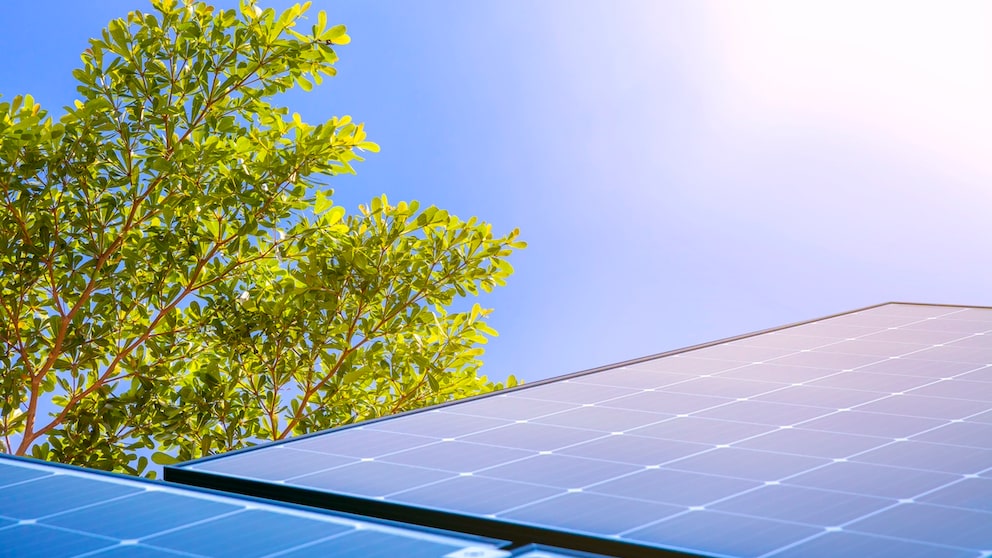 Baum vom Nachbarn wirft Schatten auf Solaranlage