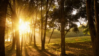 Im Spätsommer steigen die Temperaturen noch einmal