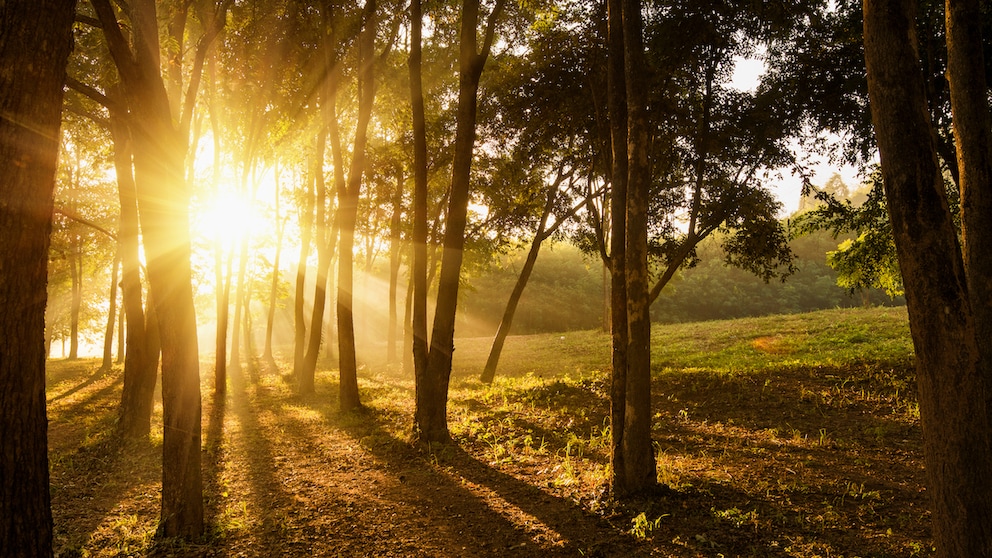 Im Spätsommer steigen die Temperaturen noch einmal