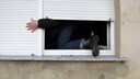 Einbrecher klettert durch Fenster