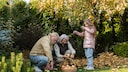 Fallobst kann schnell faulen und schimmeln