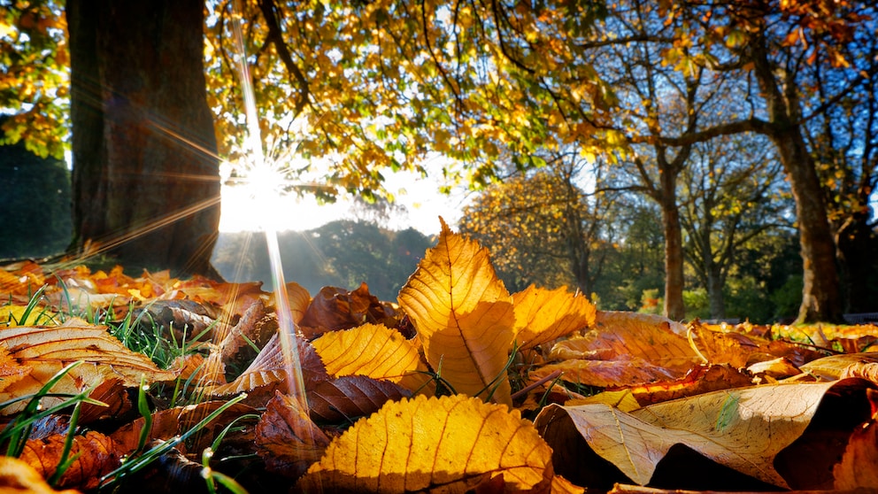 Goldener Oktober