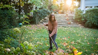 Laub im Garten ist ein schöner Anblick, aber oft auch viel Arbeit