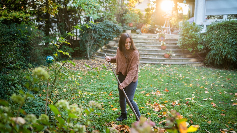 Laub im Garten ist ein schöner Anblick, aber oft auch viel Arbeit