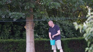 Dünger nach dem Sommer hilft dem Rasen bei der Regeneration