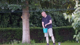 Dünger nach dem Sommer hilft dem Rasen bei der Regeneration