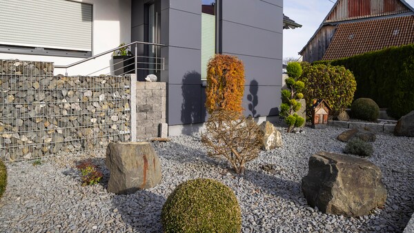 Book of Dead: Detaillierte Review für österreichische Spieler