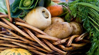 Die Früchte monatelanger Arbeit können im September endlich geerntet werden
