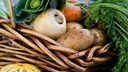Die Früchte monatelanger Arbeit können im September endlich geerntet werden