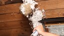 Wespenspray