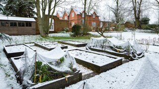 Auch im Winter sollte man seine Beete bepflanzen