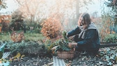 Im Oktober sollte man die letzten Sonnenstrahlen nutzen, um den Garten für den Winter vorzubereiten