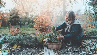 Im Oktober sollte man die letzten Sonnenstrahlen nutzen, um den Garten für den Winter vorzubereiten