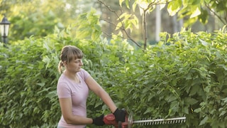 Frau schneidet mit Heckenschere eine Hecke