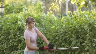 Frau schneidet mit Heckenschere eine Hecke