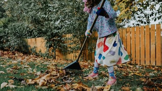 Wer muss das Laub entfernen, wenn es vom Nachbargarten herüberweht?