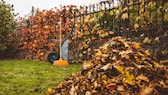 Wann man den Rasen im Frühling das erste Mal mähen sollte myHOMEBOOK