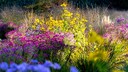 Stauden im Herbst