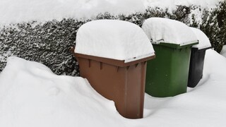 biotonne eingefroren