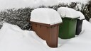 biotonne eingefroren